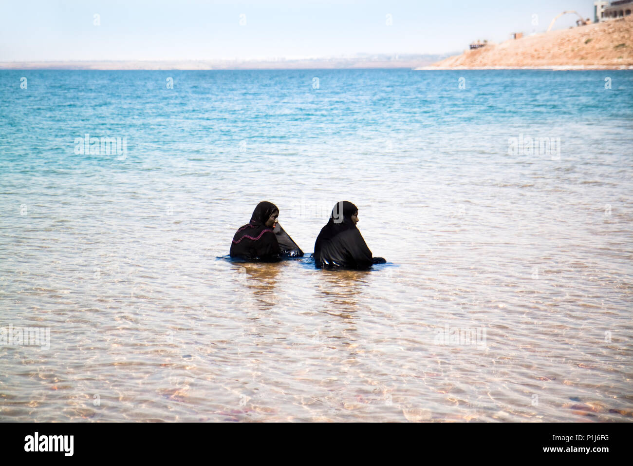the sea ranch single muslim girls Muslim divorce in usa welcome to our reviews of the muslim divorce in usa (also known as race specific dating sites)check out our top 10 list below and follow our links to read our full in-depth review of each online dating site, alongside which you'll find costs and features lists, user reviews and videos to help you make the right choice. the sea ranch single muslim girls Muslim divorce in usa welcome to our reviews of the muslim divorce in usa (also known as race specific dating sites)check out our top 10 list below and follow our links to read our full in-depth review of each online dating site, alongside which you'll find costs and features lists, user reviews and videos to help you make the right choice.
