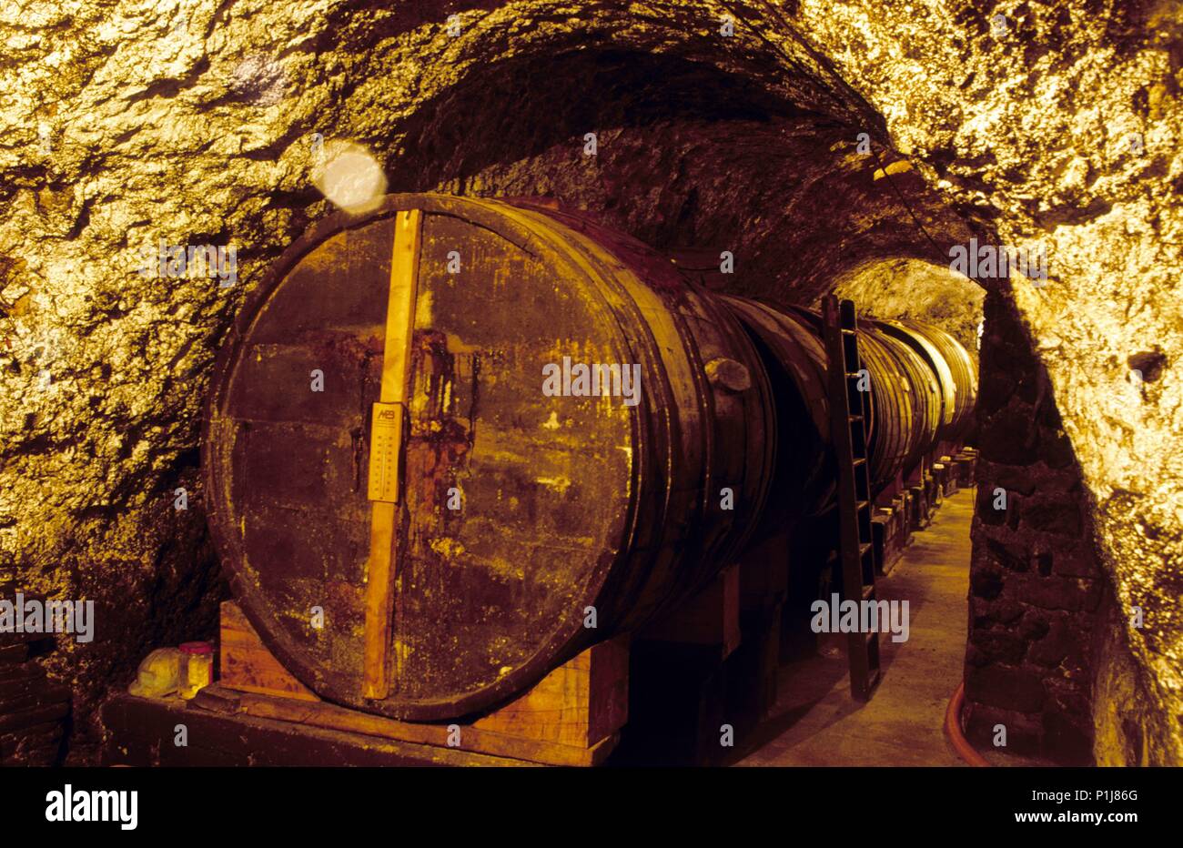 Campo de Cariñena: Almonacid de la Sierra, bodega tradicional de 