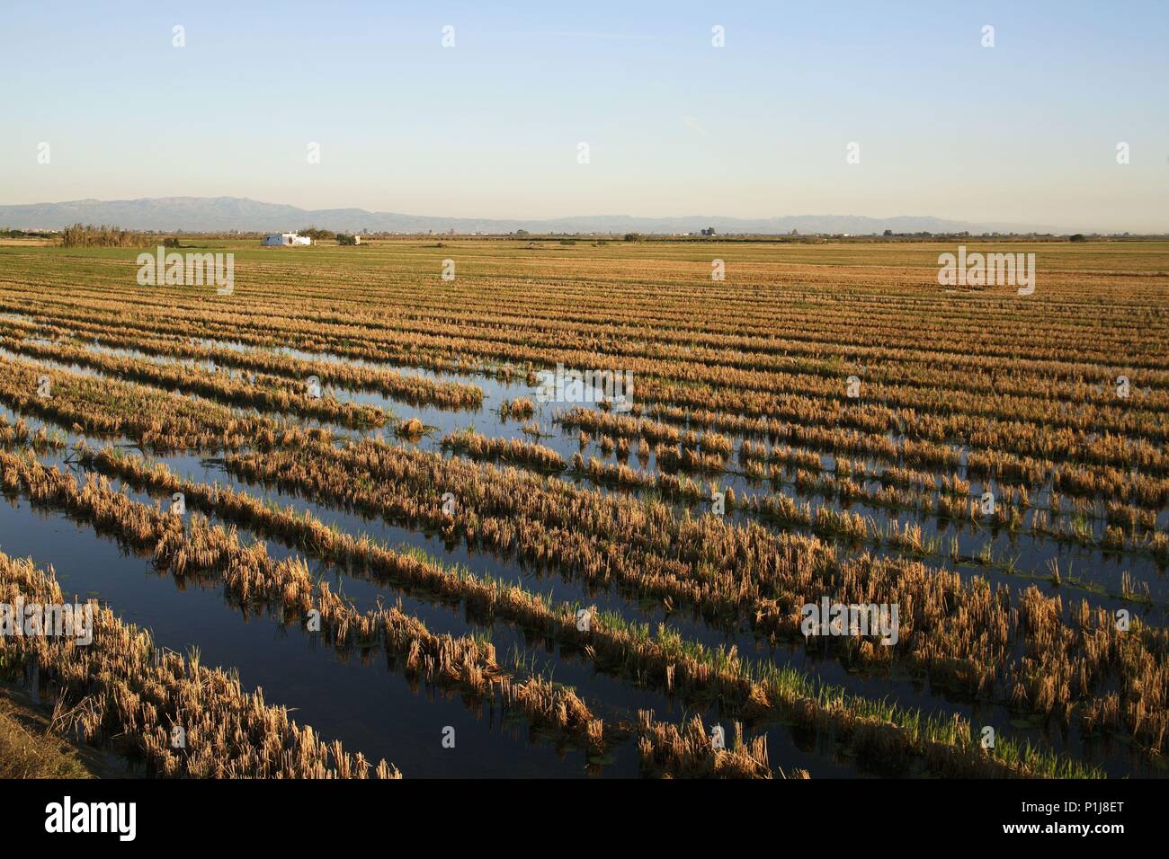 Campos de la cerca hi-res stock photography and images - Alamy