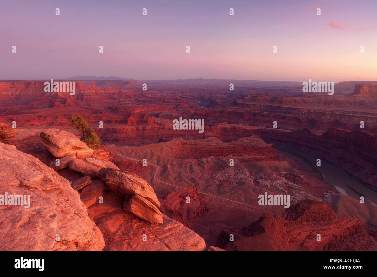 Canyons and Colorado River of the Dead Horse State Park in Utah, USA Stock Photo