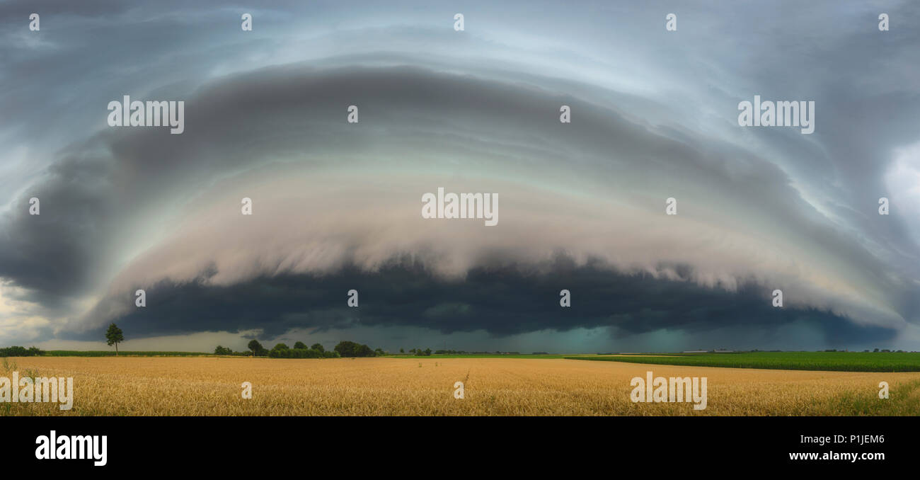 Shelfcloud-Panorama of a thunderstorm above a cornfield in Heinsberg, North Rhine-Westphalia, Germany Stock Photo