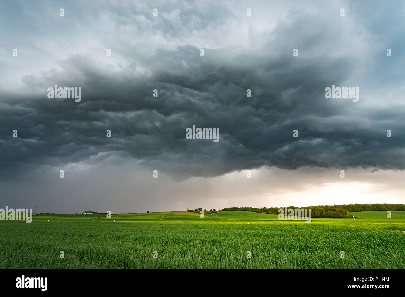 Turbulent clouds (whale's mouth) under a shelfcloud near Lich, central Hessia, Germany Stock Photo