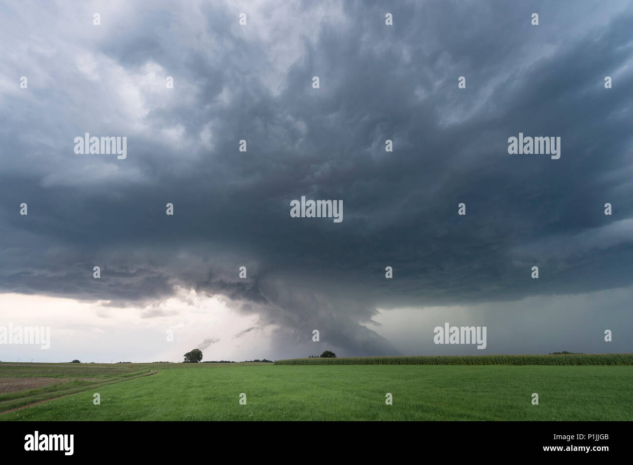 Very low wall cloud of a classic supercell near Altdorf, Nuremberg, Bavaria, Germany Stock Photo