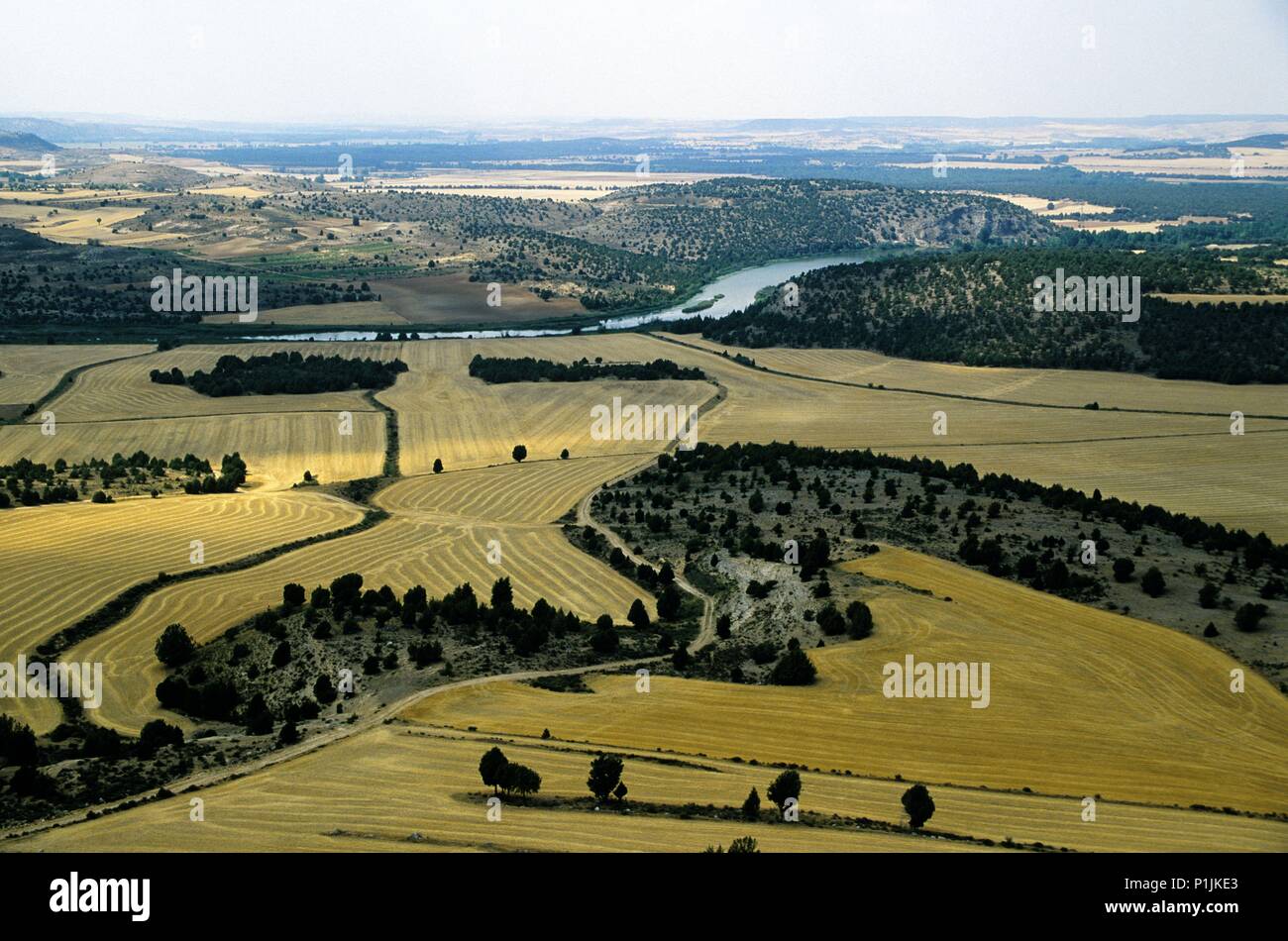 Campos de cereales de cereales hi-res stock photography and images - Alamy