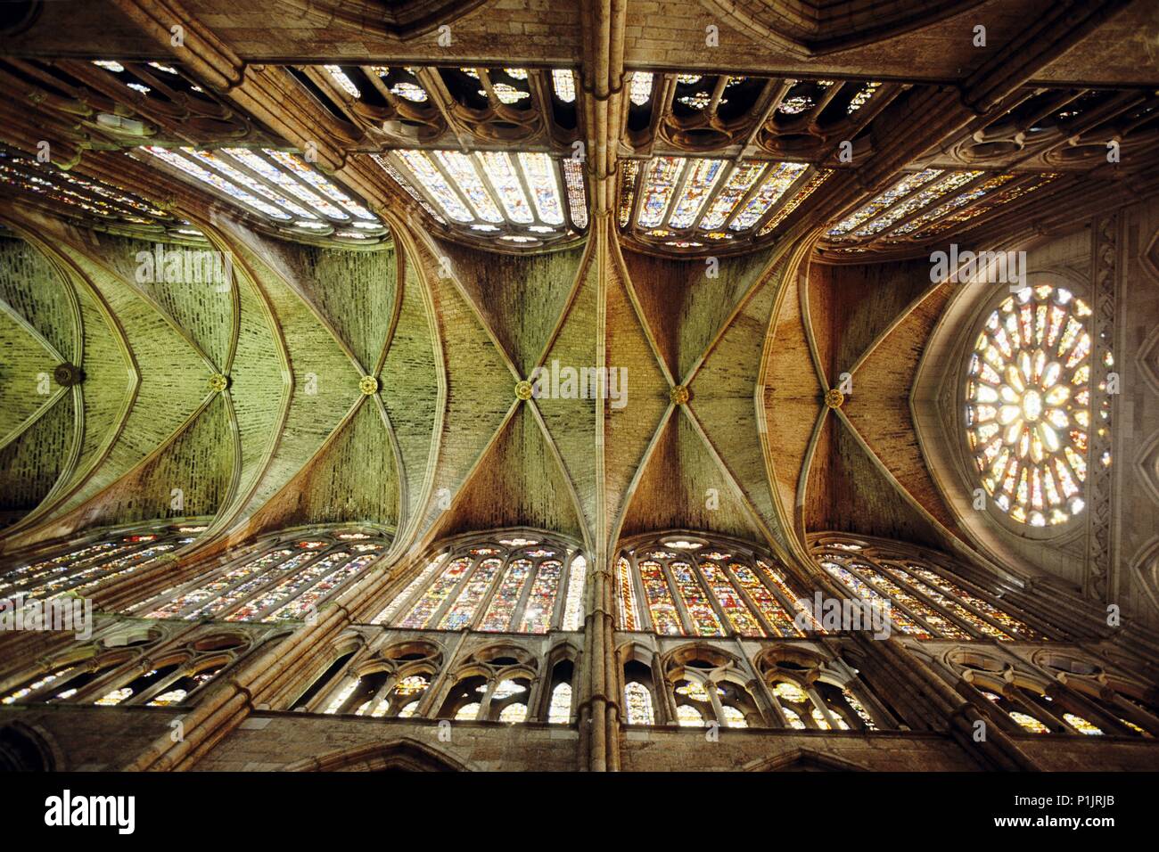 Cathedral; roof of the central nave and stained glass window (gothic