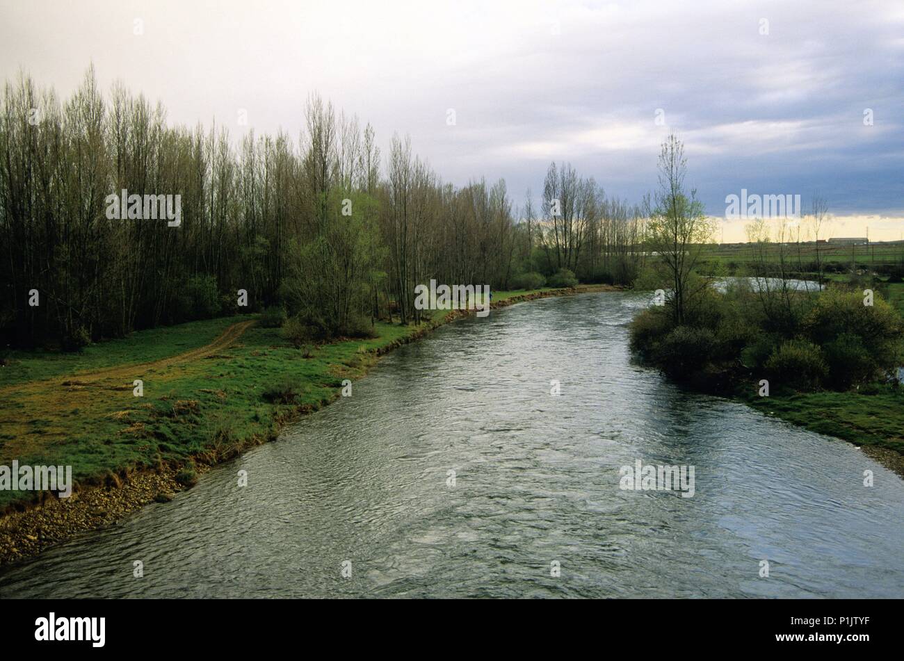 Cueza river next to Calzadilla de la Cueza; (Sant James pilgrimage way to Santiago). Stock Photo