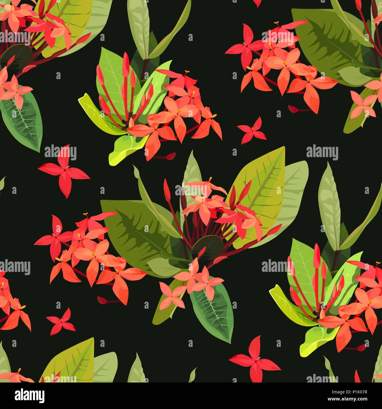 Ixora tropical flowersIxora tropical flowers seamless pattern botany background plants texture Stock Vector