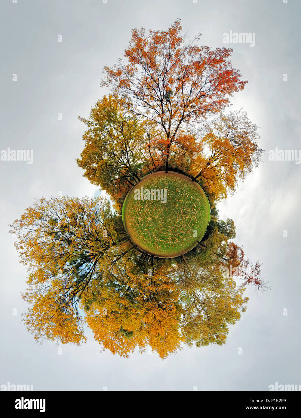 Autumn little planet - Globe with forest Stock Photo