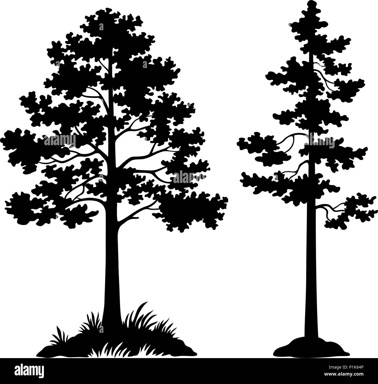 Pine Trees Black Silhouette Stock Vector