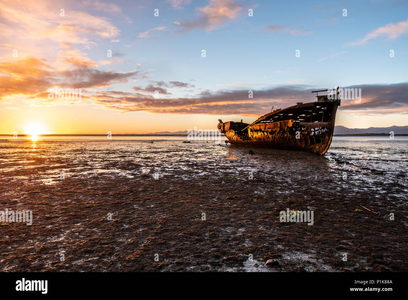 Janie Seddon shipwreck on the beach at sunset, Motueka, South Island, New Zealand Stock Photo