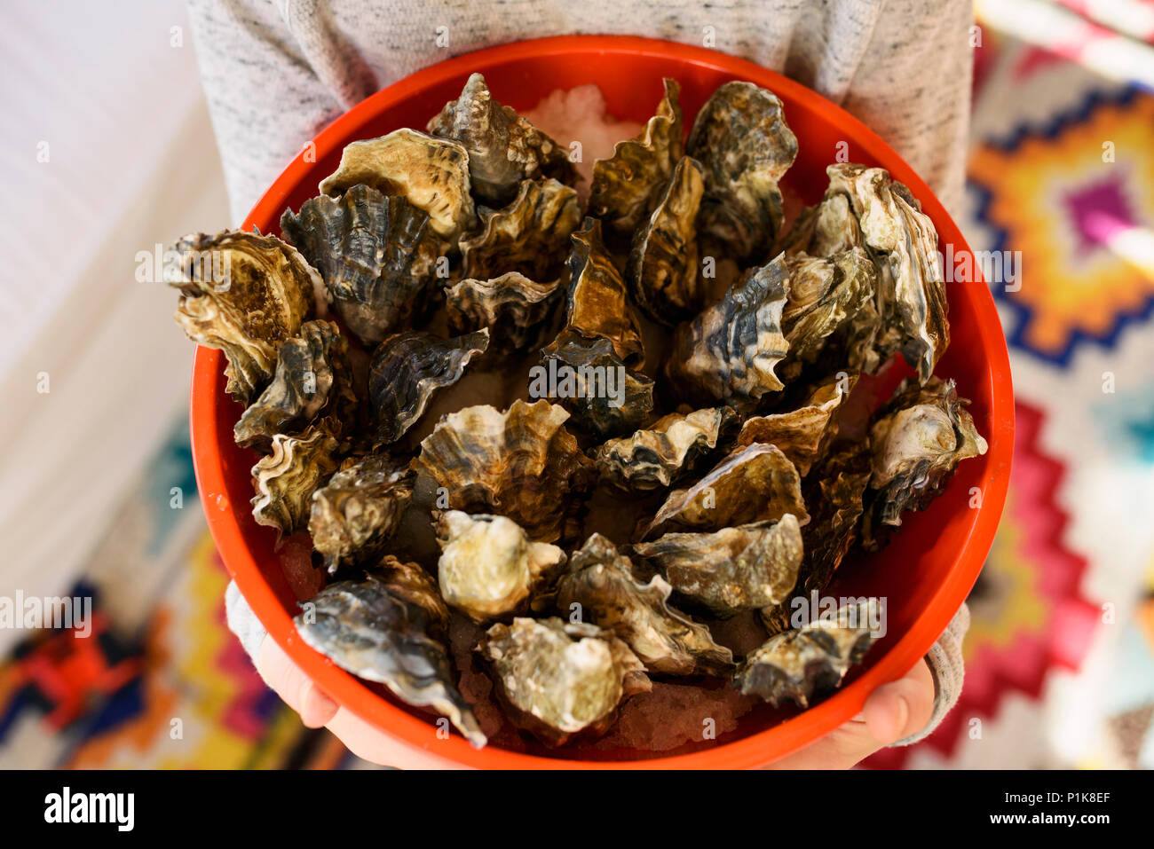 Child holding a bucket of fresh oysters Stock Photo