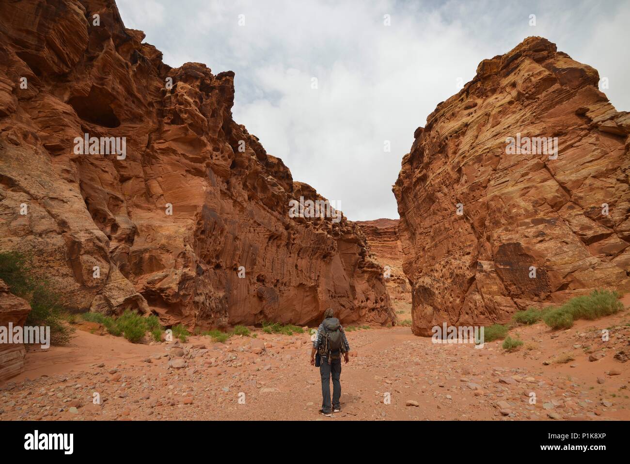 Man standing in front of Happy Canyon, Hanksville, Utah, United States Stock Photo
