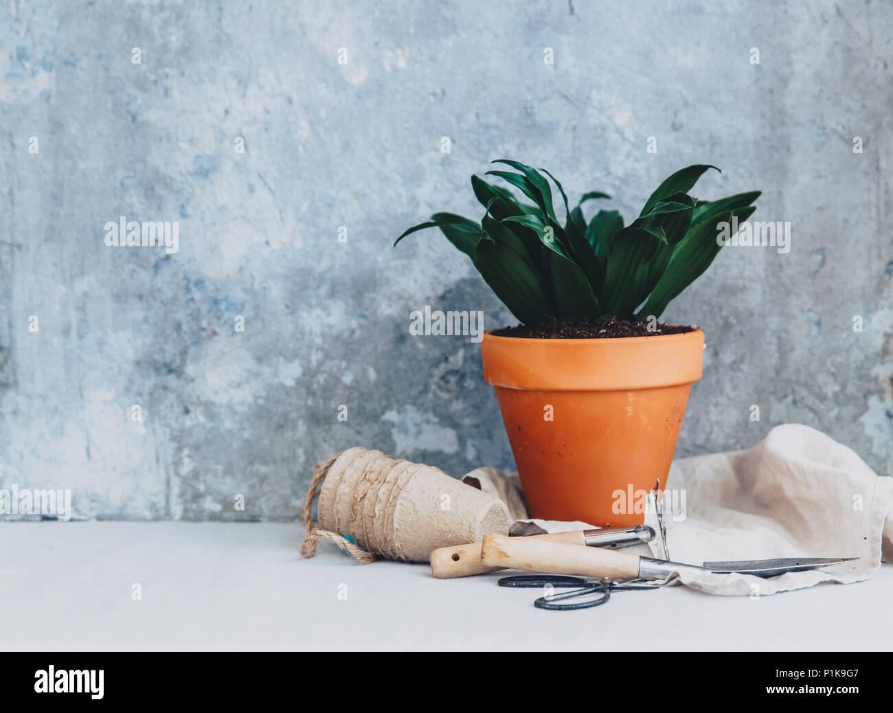 Gardening tools plant pot hi-res stock photography and images - Alamy