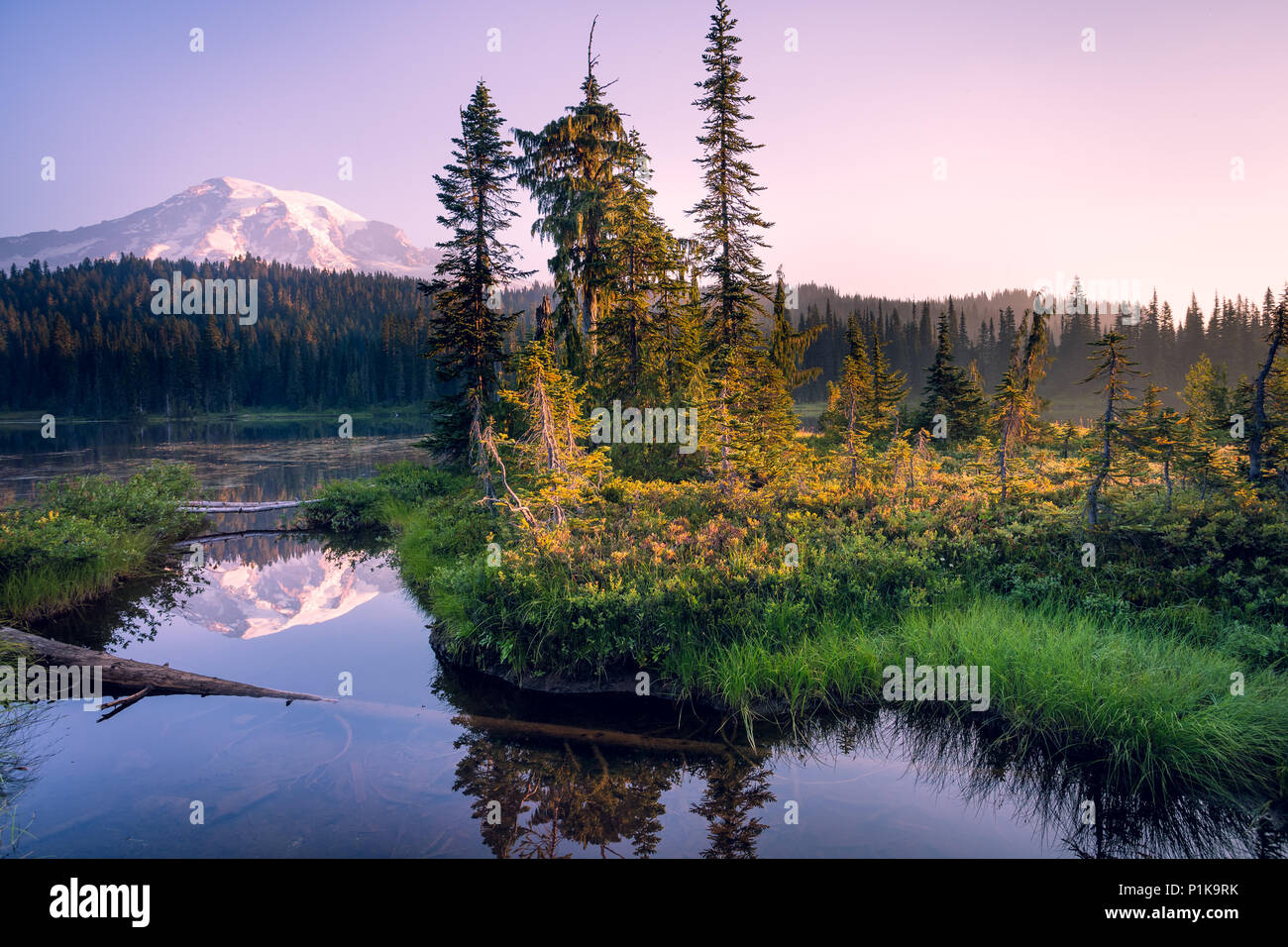 Mountain reflection in a lake, Mount Rainier National Park, Washington, United States Stock Photo