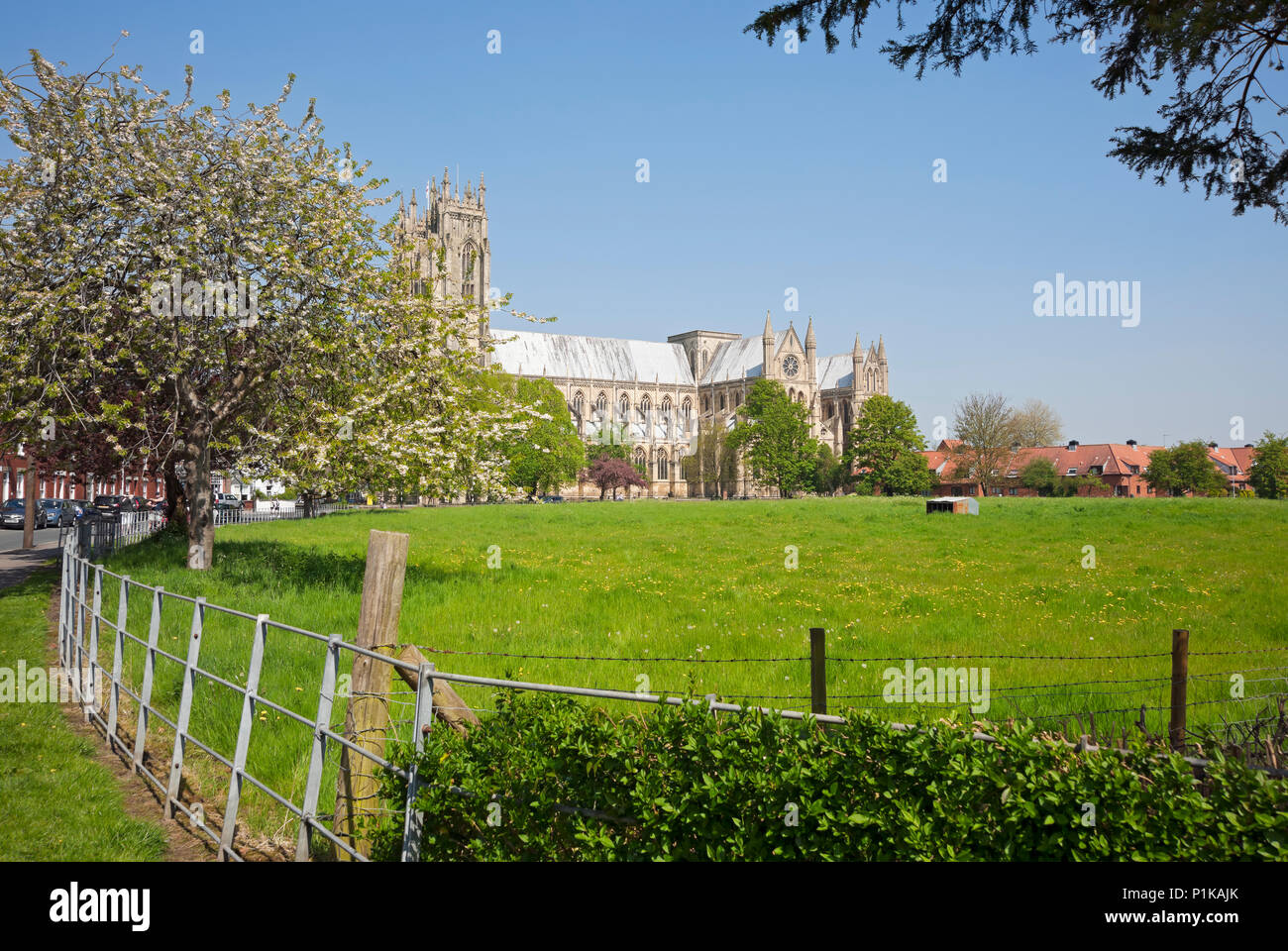 Beverley Minster the Parish Church of St John and St Martin in spring Beverley East Yorkshire England UK United Kingdom GB Great Britain Stock Photo