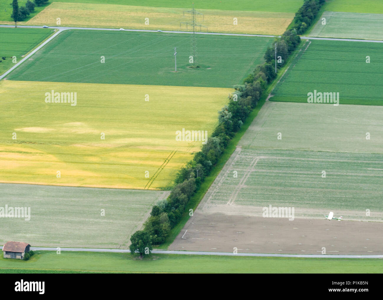 farming fields and rows of trees with a crop duster plane seen from above Stock Photo