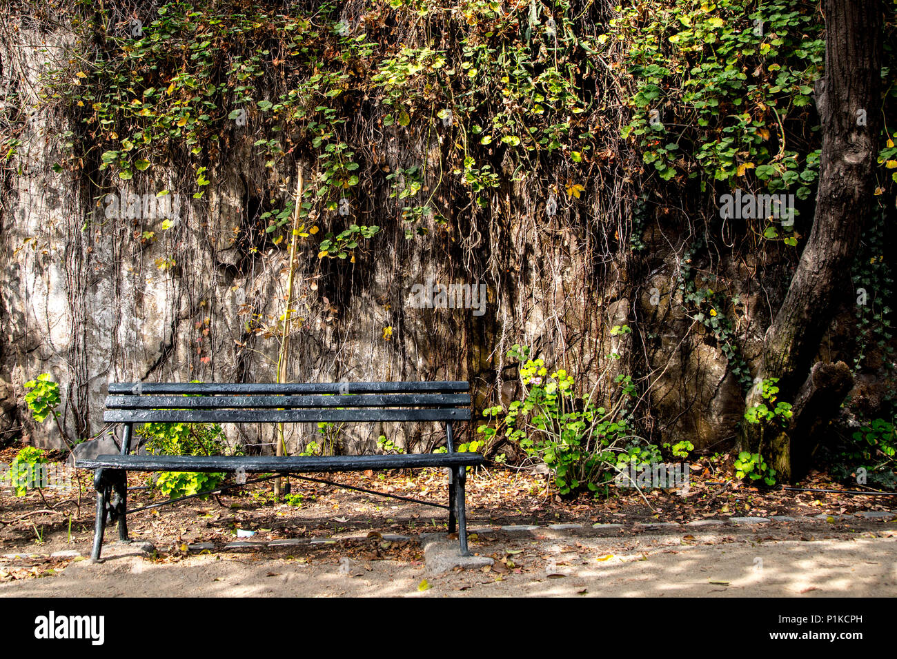 A bench along the path to the summit of Santa Luica Hill in Santiago, Chile. Stock Photo