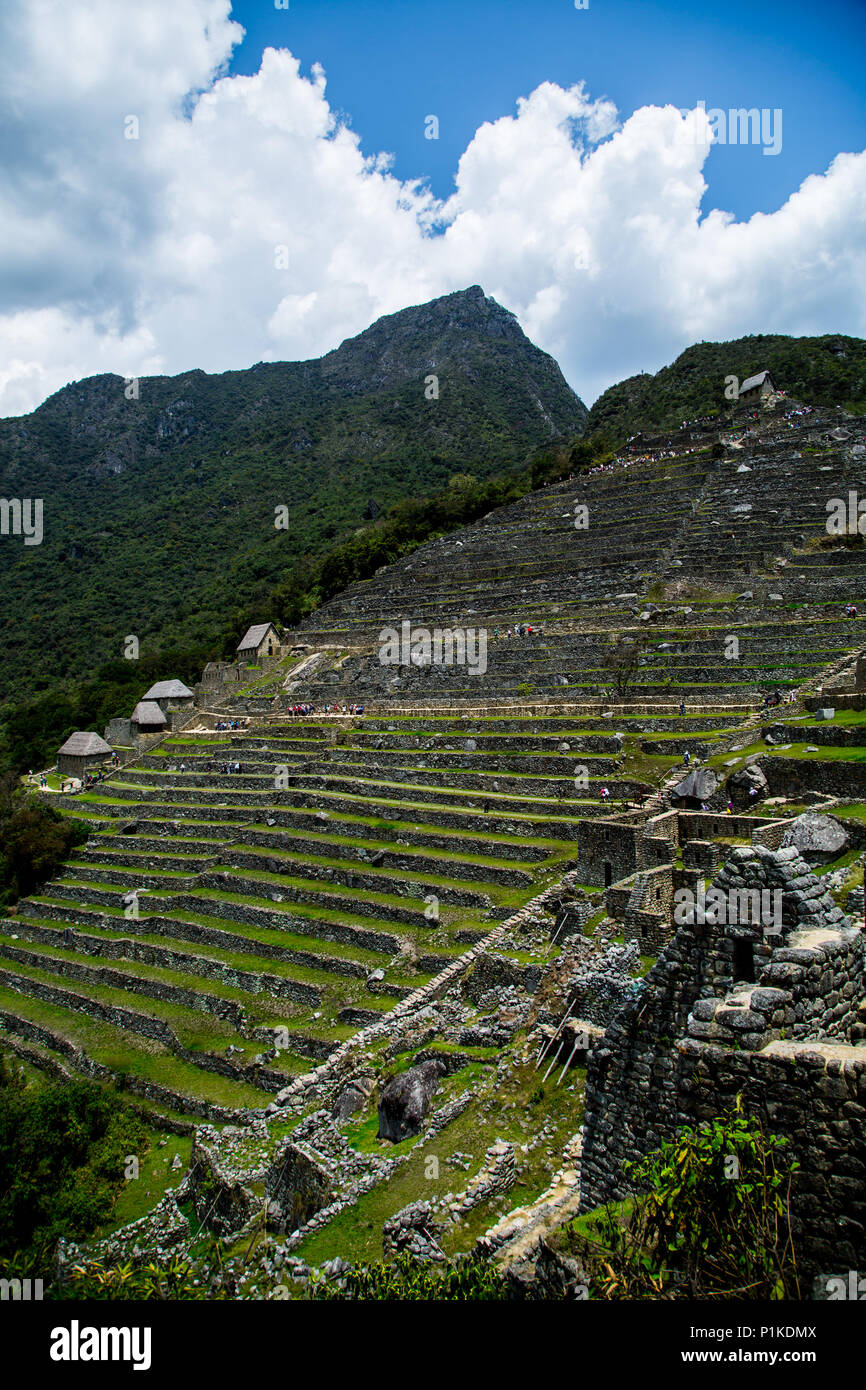The terraced hillside at Machu Picchu where in Peru, where it is believed farming either occurred or was meant to occur. Stock Photo