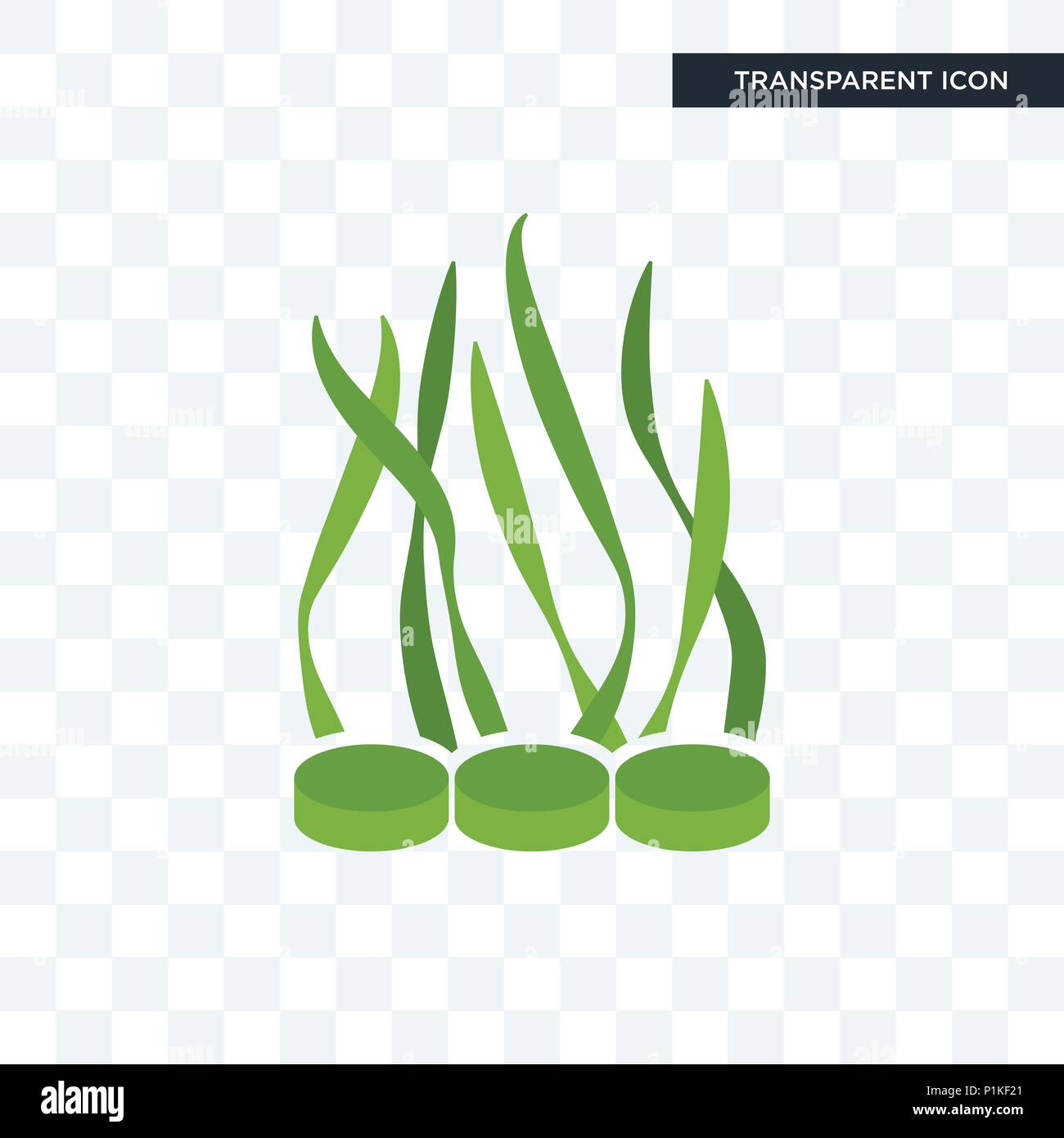Acai fruit vector vectors hi-res stock photography and images - Alamy