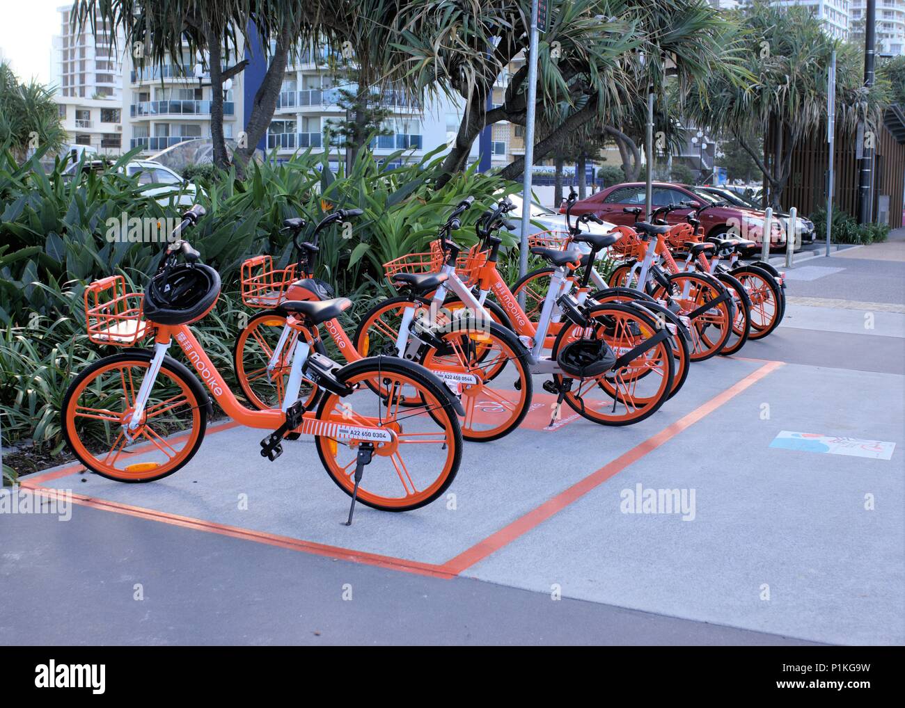 Rental Bicycles of Mobike parked at Surfer Paradise boulevard, Gold