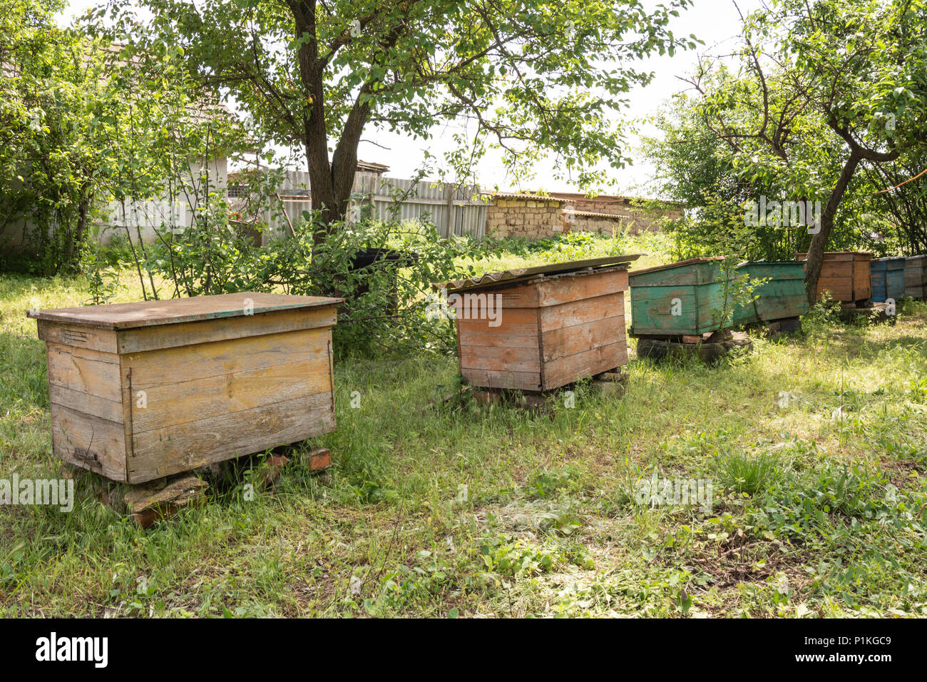 Hives in the apiary of a rural house, Shagany Lagoon, Ukraine Stock