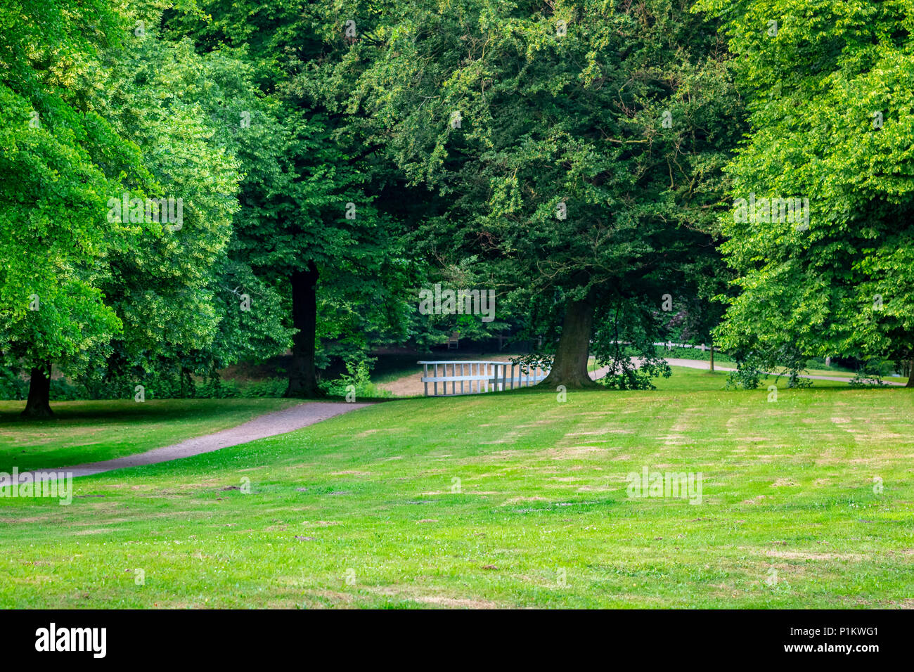 green pathway park Stock Photo