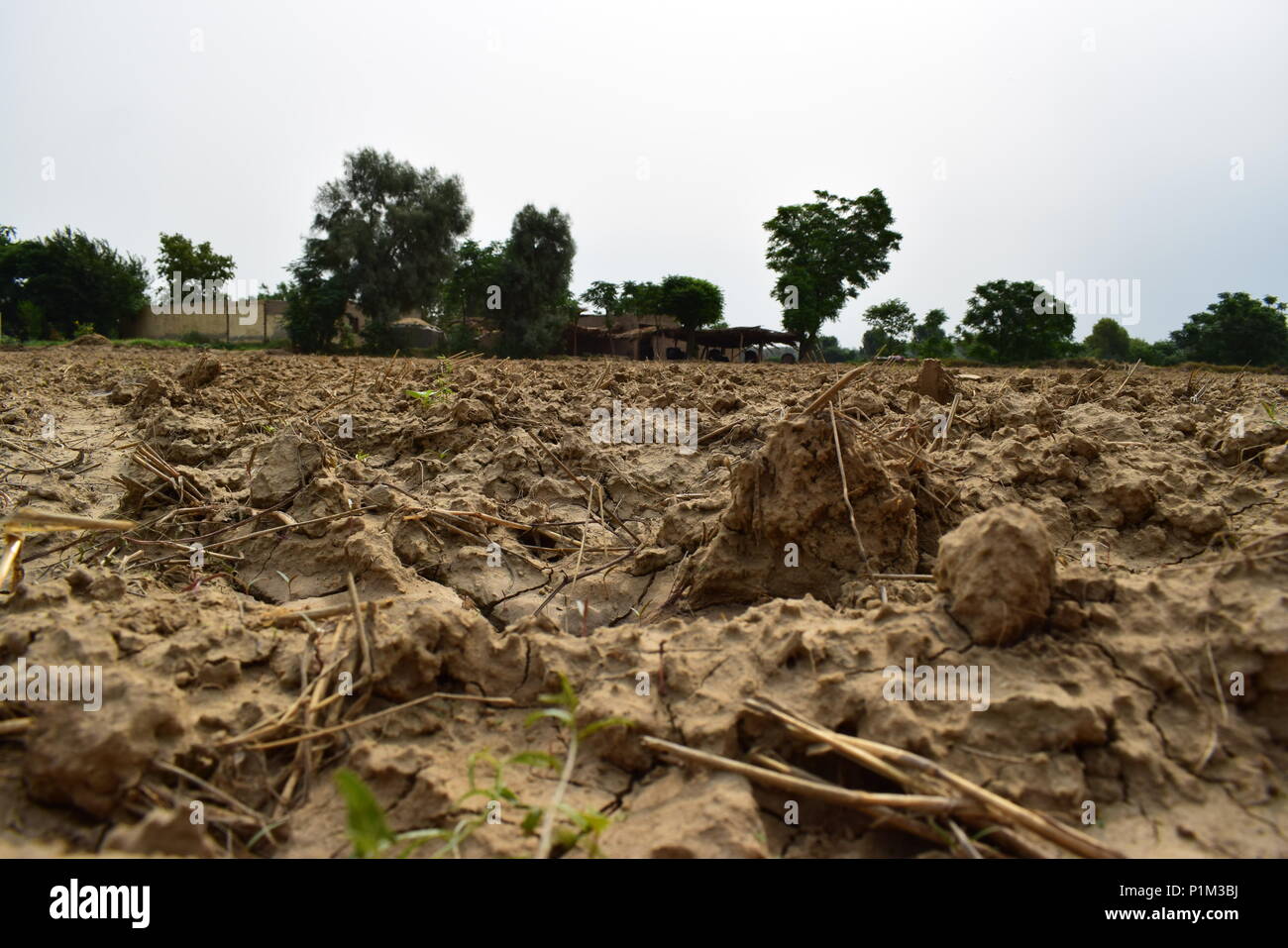 Open dry land and dry soil near a village house of Chakwal, Pakistan Stock Photo