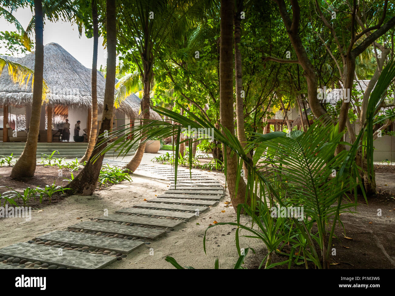 Tropical garden path and ocean hi-res stock photography and images - Alamy