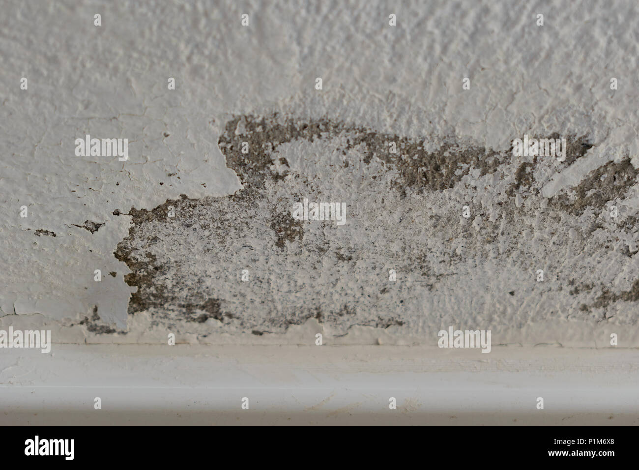 Peeling paint due to remaining moisture Stock Photo