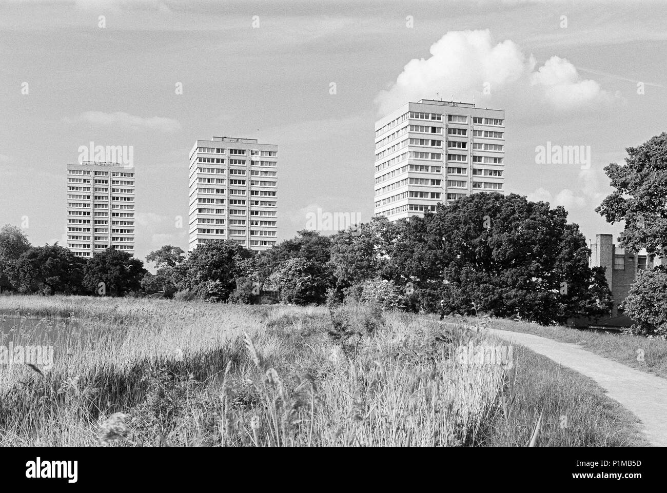 Tower Blocks viewed from Woodberry Wetlands, North London UK Stock Photo