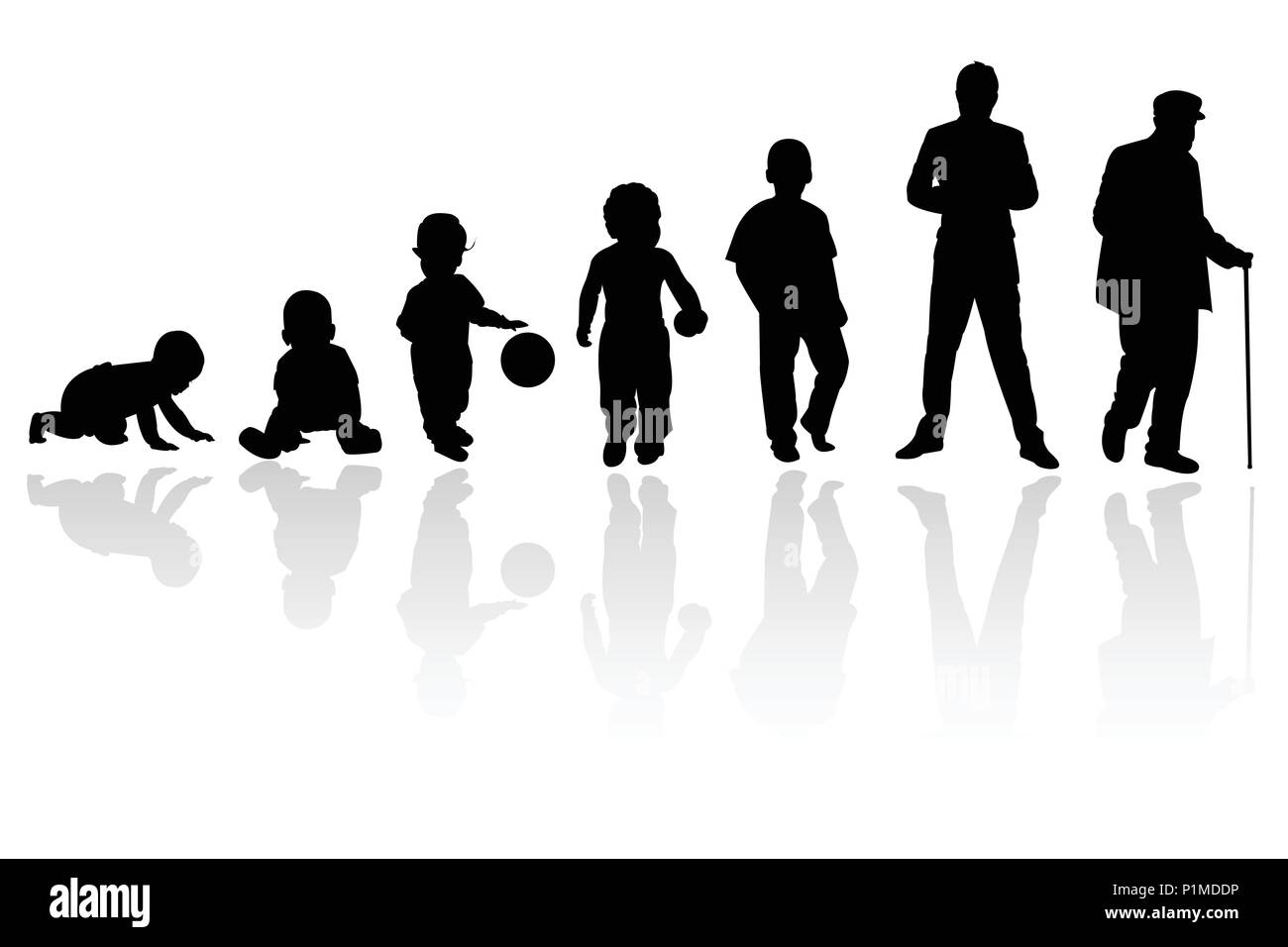 Age evolution silhouettes Stock Vector Image & Art - Alamy