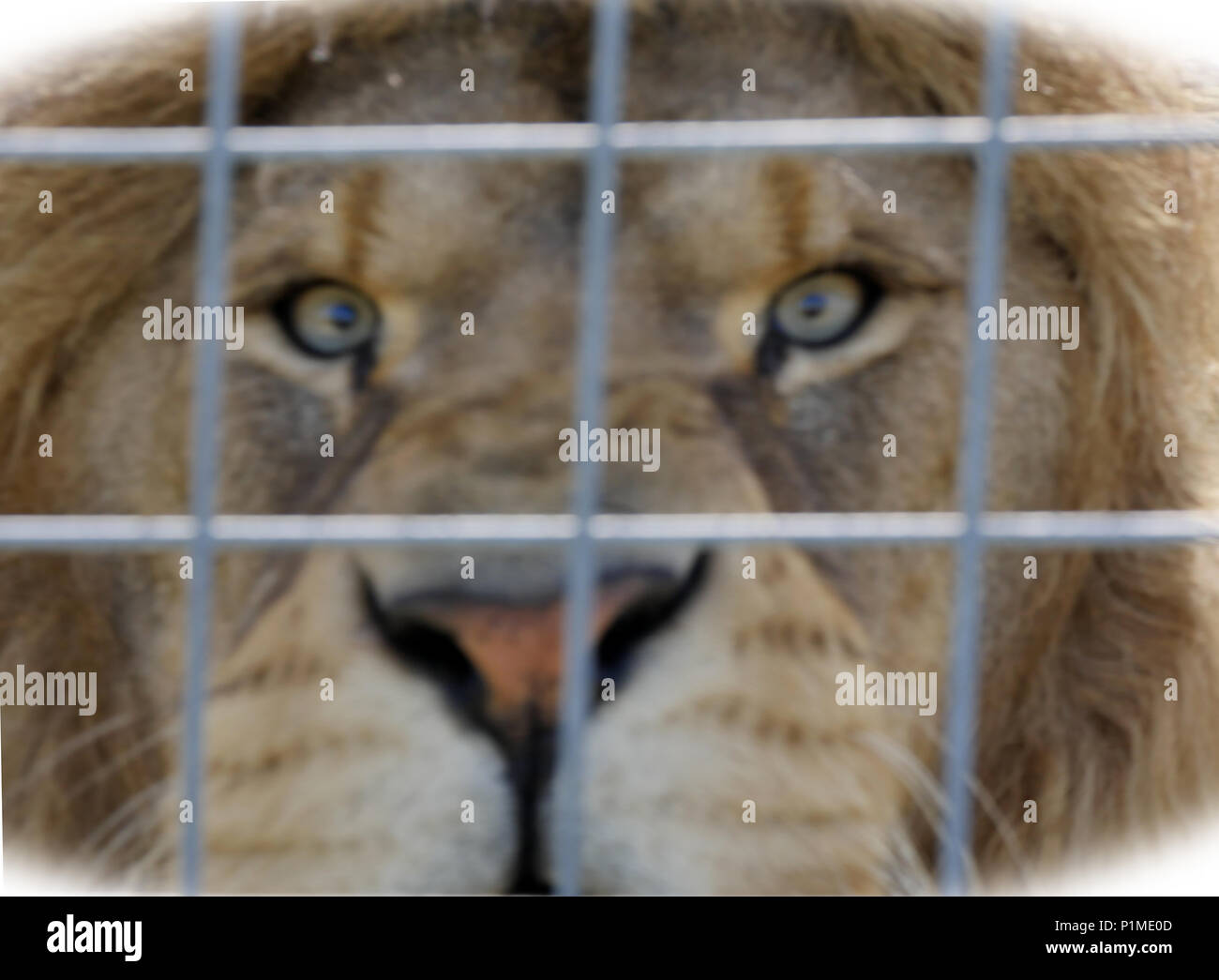 Terrifying nightmares hires stock photography and images Alamy