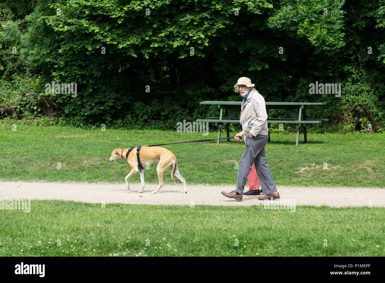 Elderly park hires stock photography and images Alamy