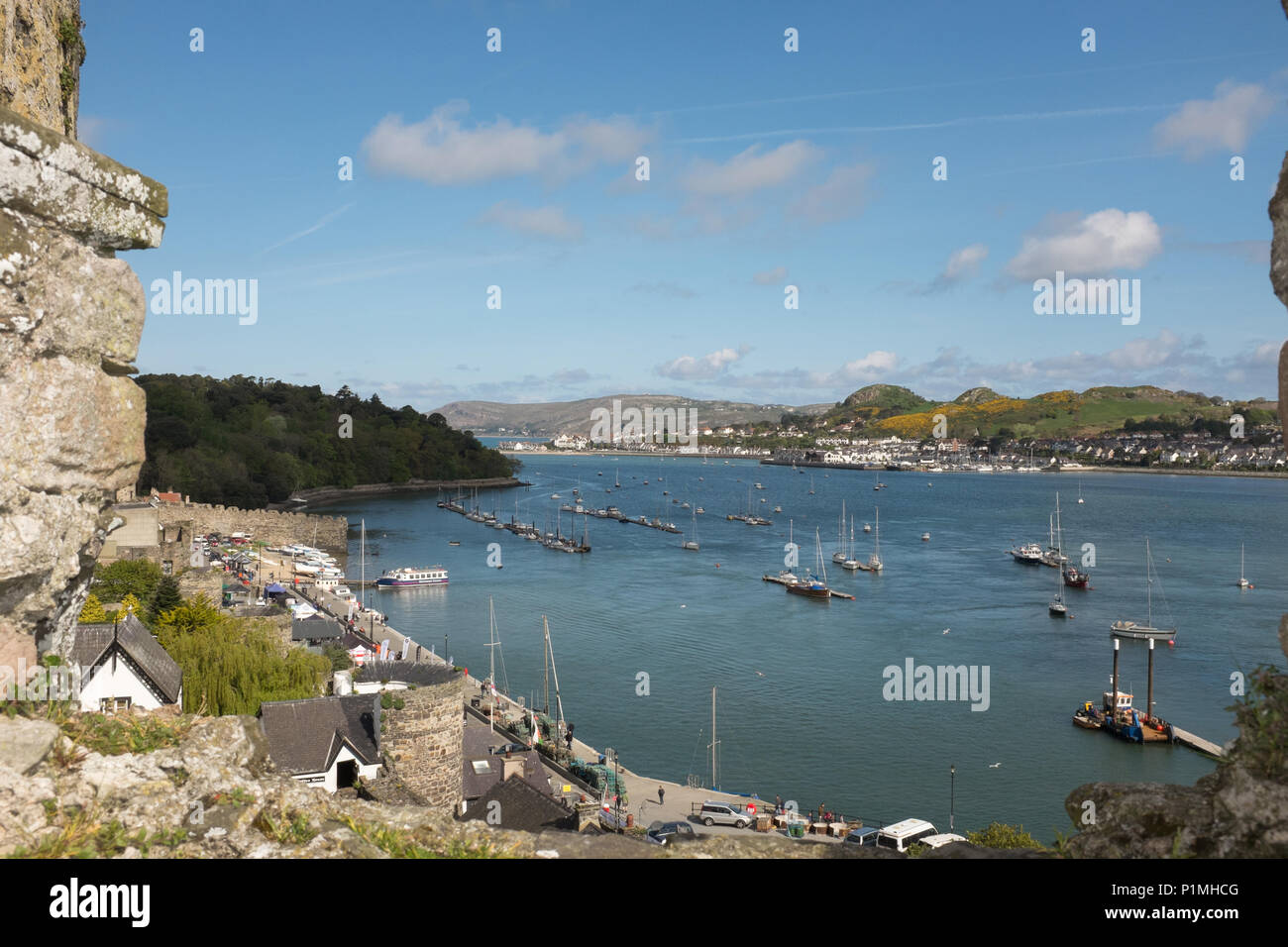 View of the harbor from Conwy Castle, Conwy, North Wales, UK Stock Photo