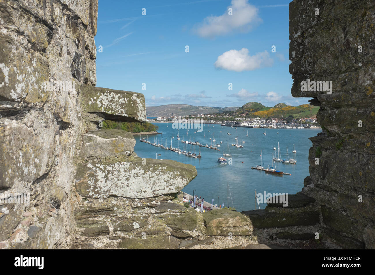 View of the harbor from Conwy Castle, Conwy, North Wales, UK Stock Photo