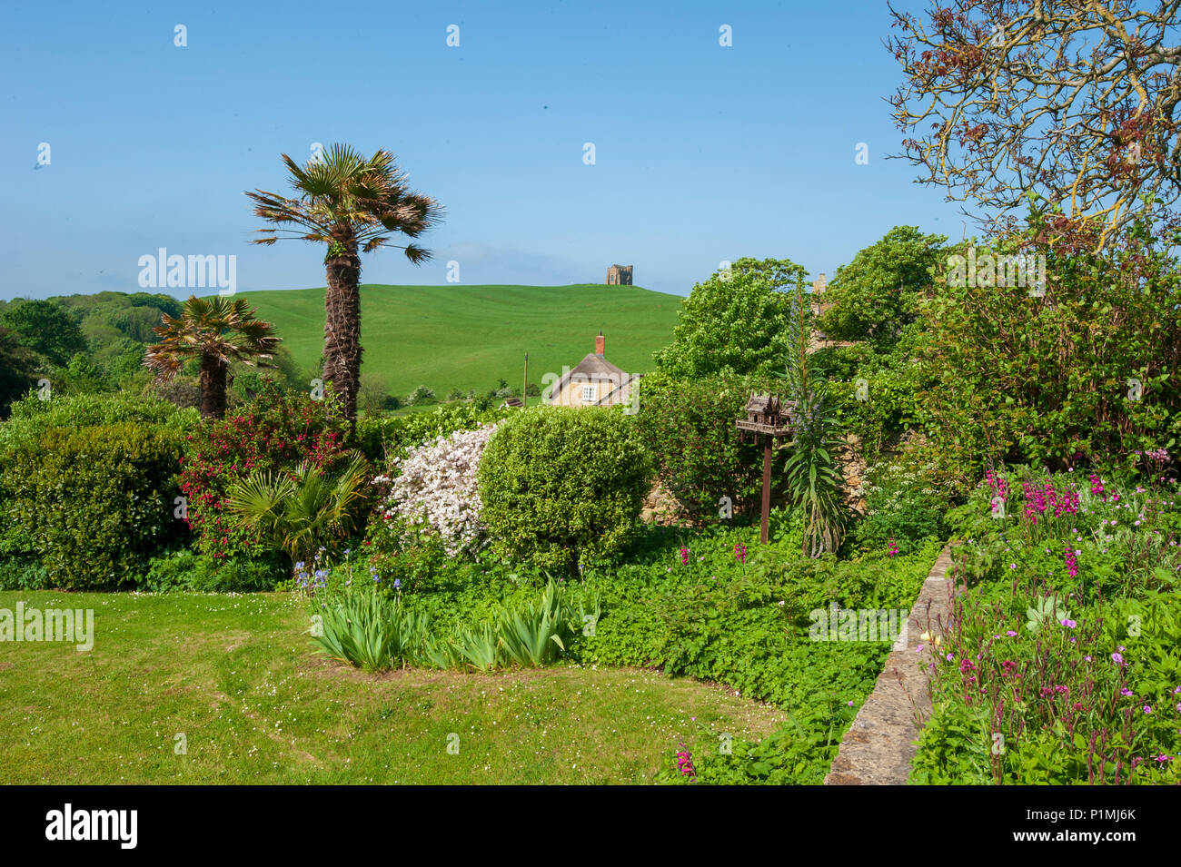 Abbotsbury in Dorset, a county in Southern England, which enjoys enjoys