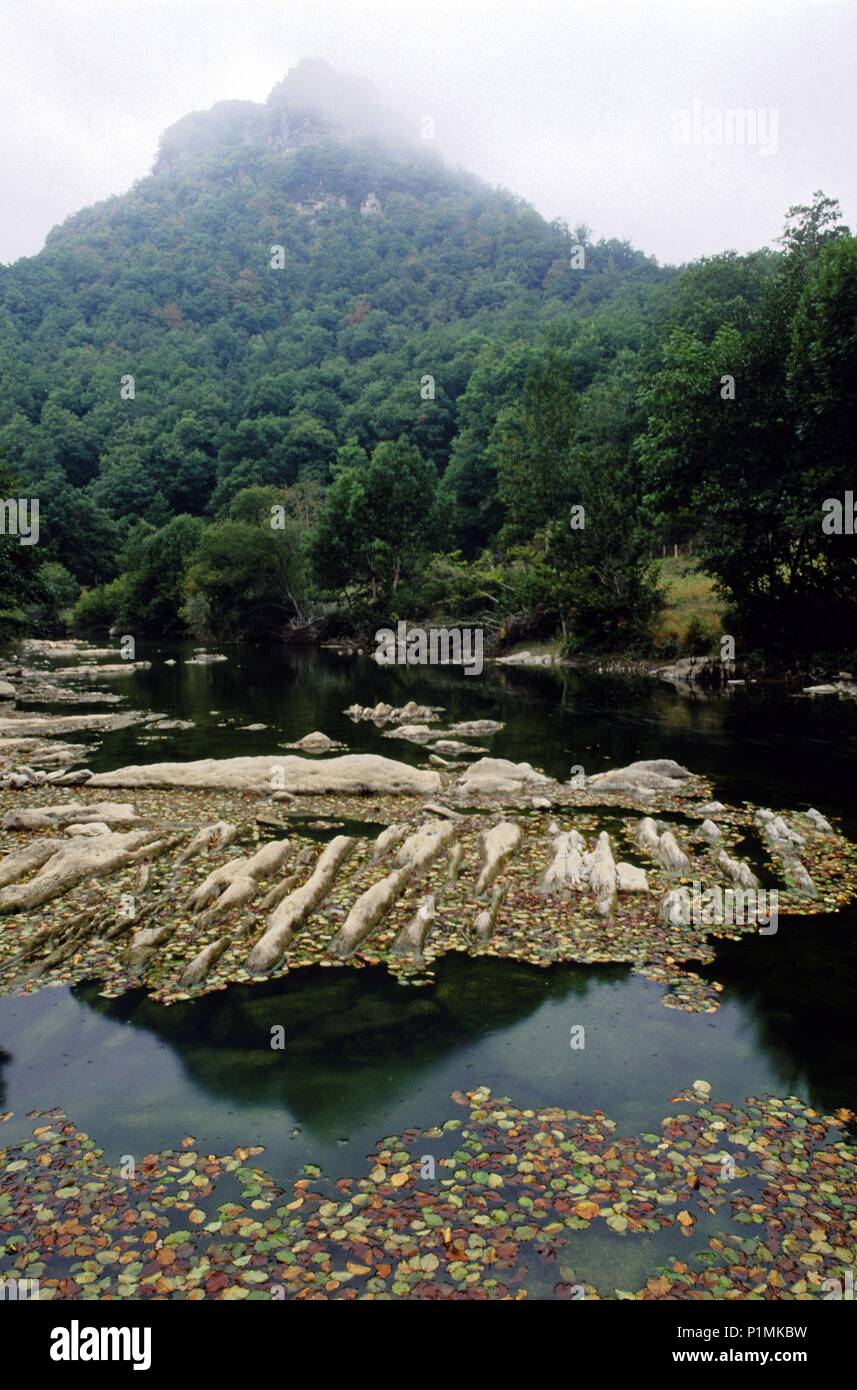 Irati river Orbaiceta; Selva de / Irati forest (Pyrenees Stock Photo