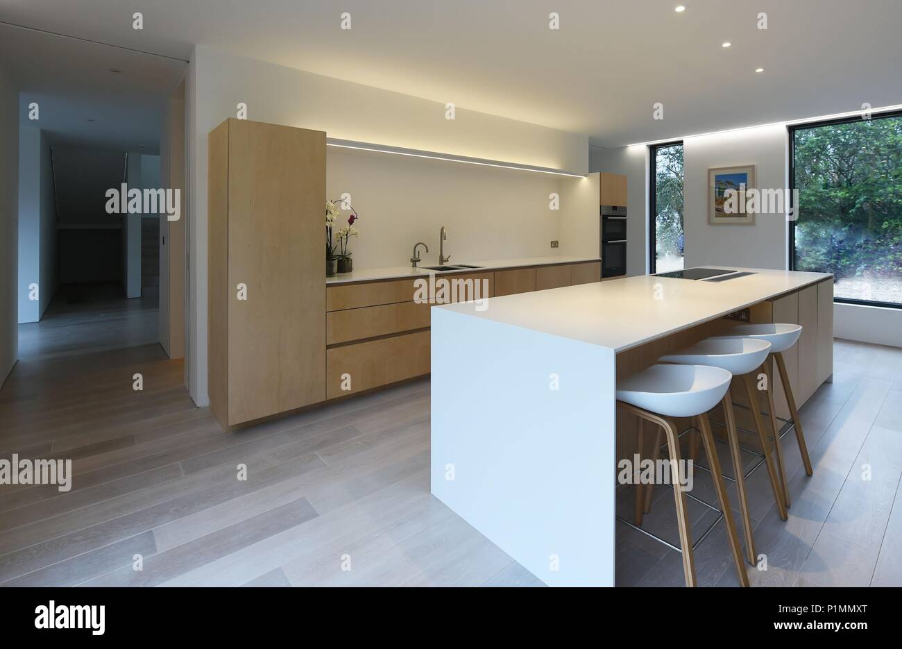 Modern Kitchen interior design Stock Photo