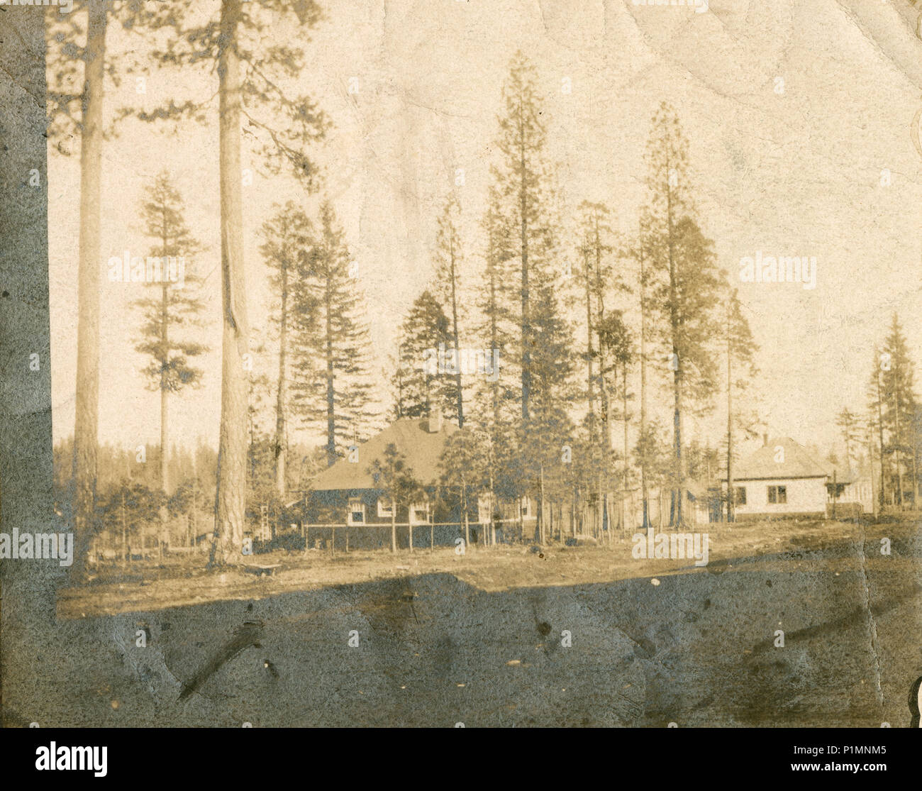 Antique circa 1910 photograph, Mrs. Newcomb’s Bungalow in Stirling City, California. Stirling City was founded in 1903 by the Diamond Match Company of Barberton, Ohio, as a center for processing cut lumber from the surrounding forests. SOURCE: ORIGINAL PHOTOGRAPH. Stock Photo