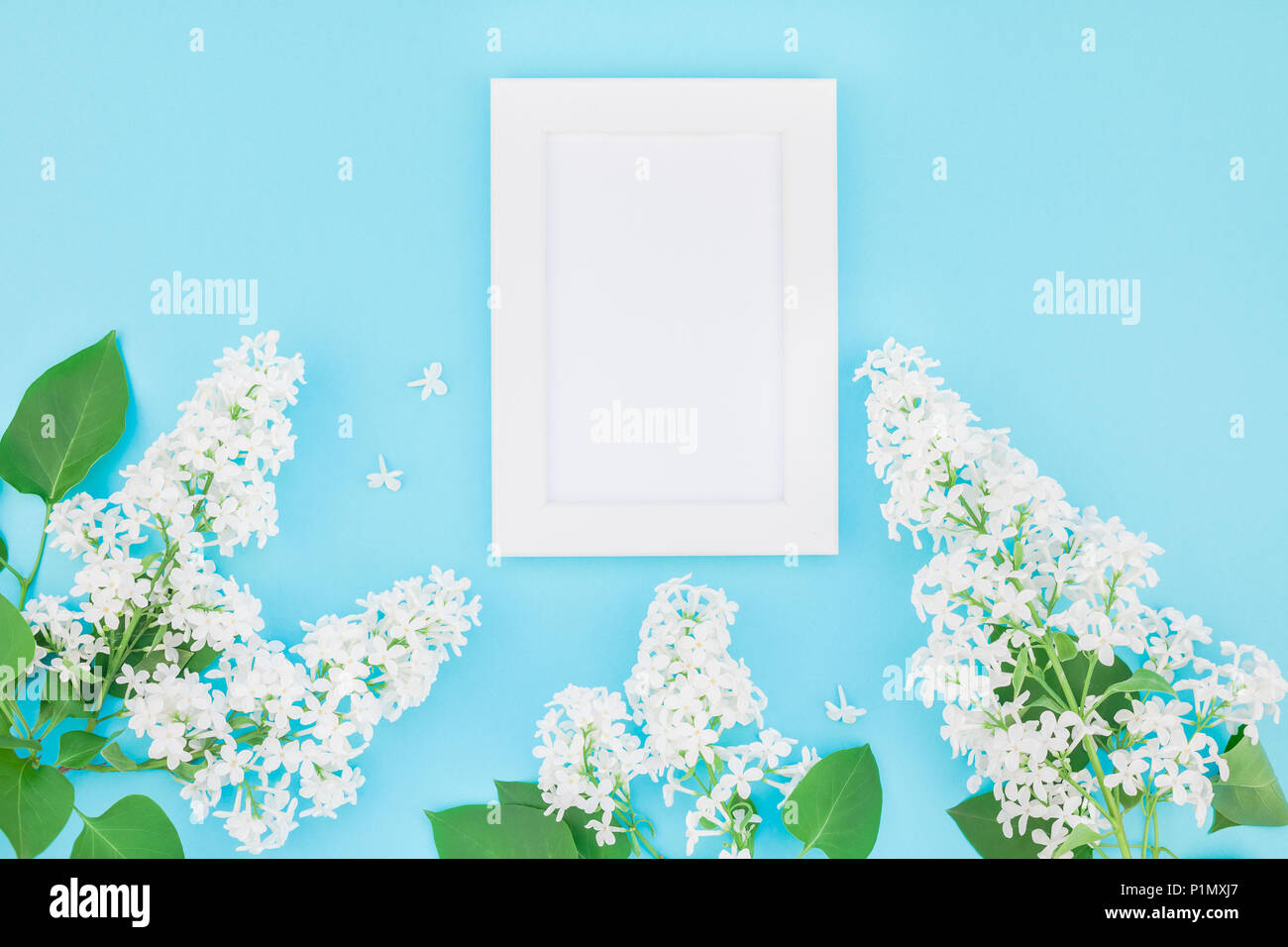 Creative flat lay concept top view of blank postcard frame mock up and ...