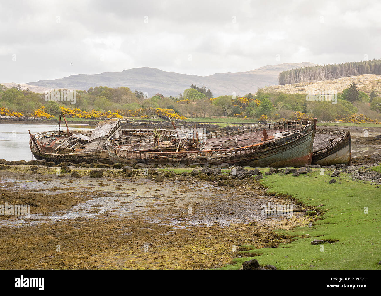 An Abandoned Fishing Boat Trawler Used in Fishing Industry Spotted