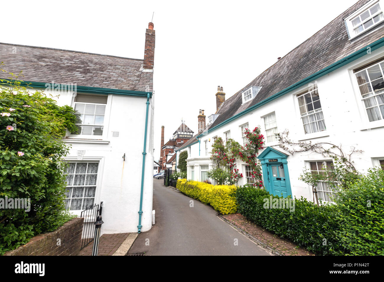 Cottages with plants along the harveys yard hires stock photography