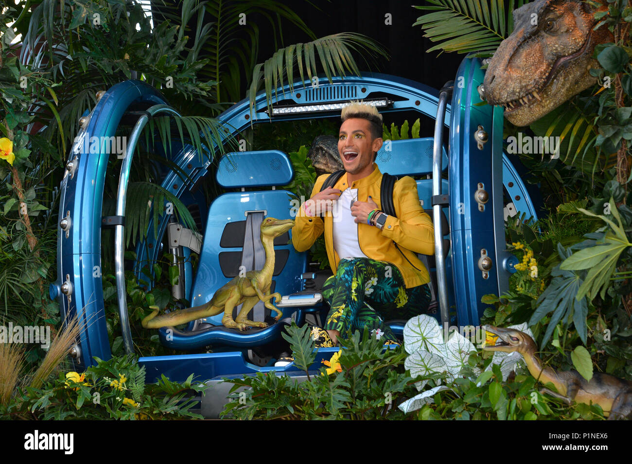 Los Angeles, California, USA. 12th June, 2018. Frankie Grande at the premiere for 'Jurassic World: Fallen Kingdom' at the Walt Disney Concert Hall  Credit: Sarah Stewart/Alamy Live News Stock Photo