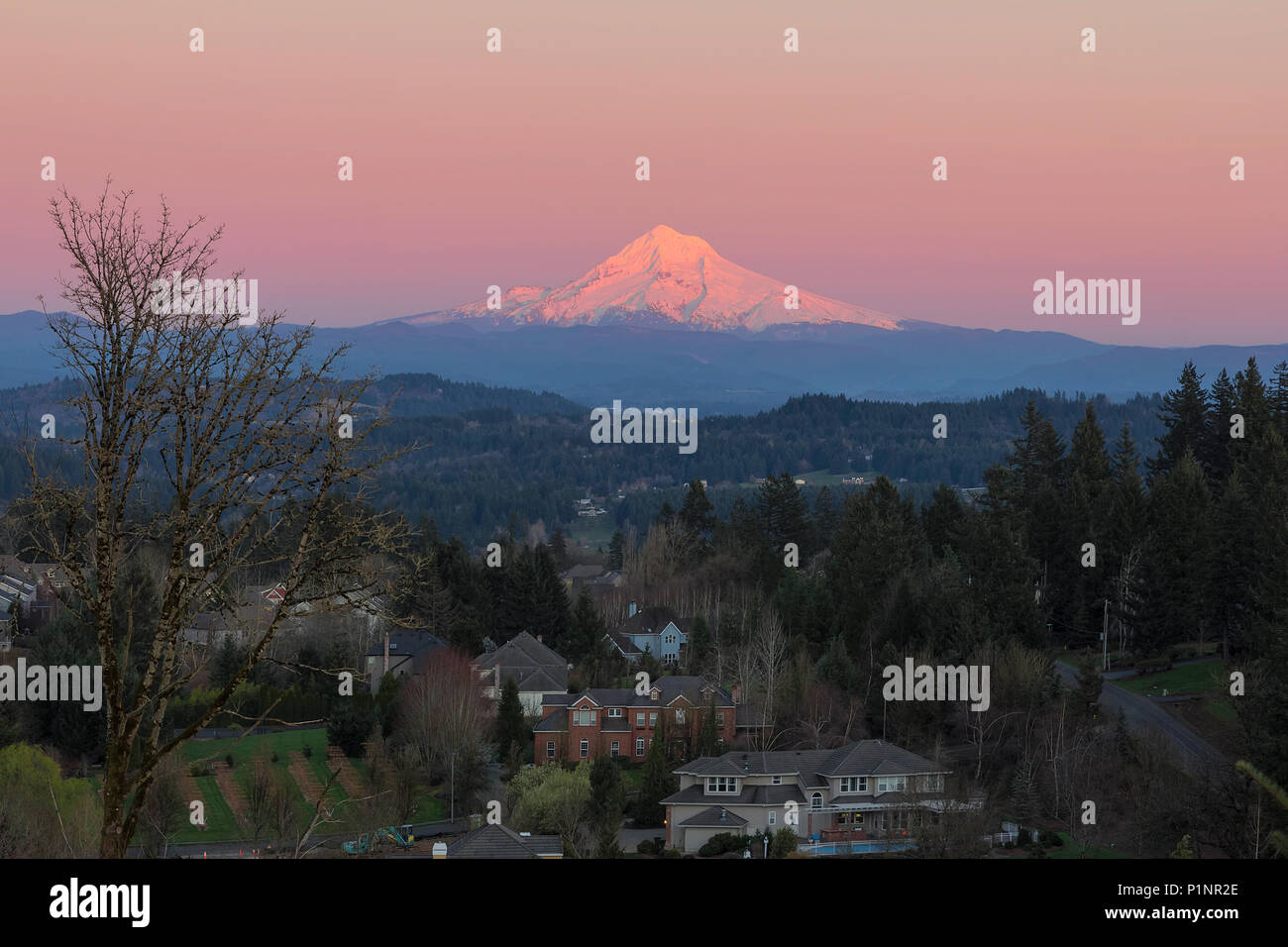 Mount Hood over Happy Valley Oregon upscale luxury residential neighborhood during alpenglow sunset Stock Photo