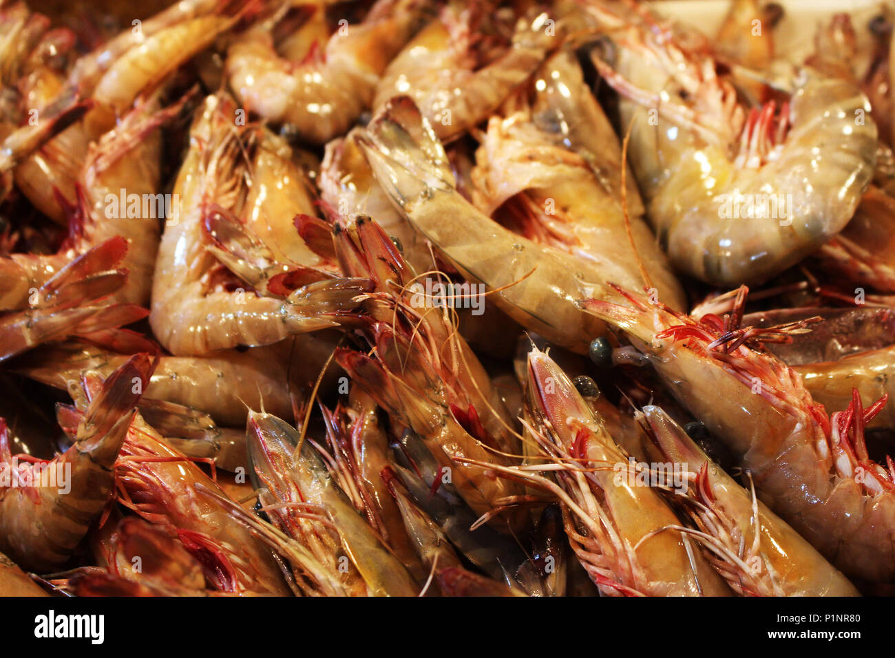 Seafoods at Wet Market, Bacolod City, Negros Occidental, Philippines ...