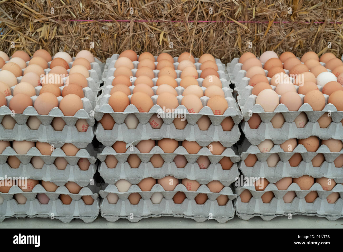 https://c8.alamy.com/comp/P1NT58/organic-eggs-in-trays-for-sale-at-daylesford-organic-farm-shop-summer-festival-daylesford-cotswolds-gloucestershire-england-P1NT58.jpg