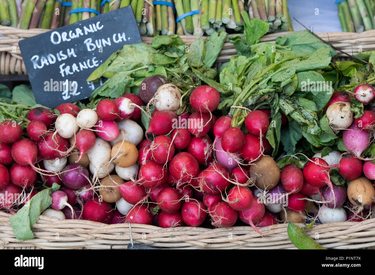 Organic radishes for sale at Daylesford Organic farm shop summer festival. Daylesford, Cotswolds, Gloucestershire, England Stock Photo