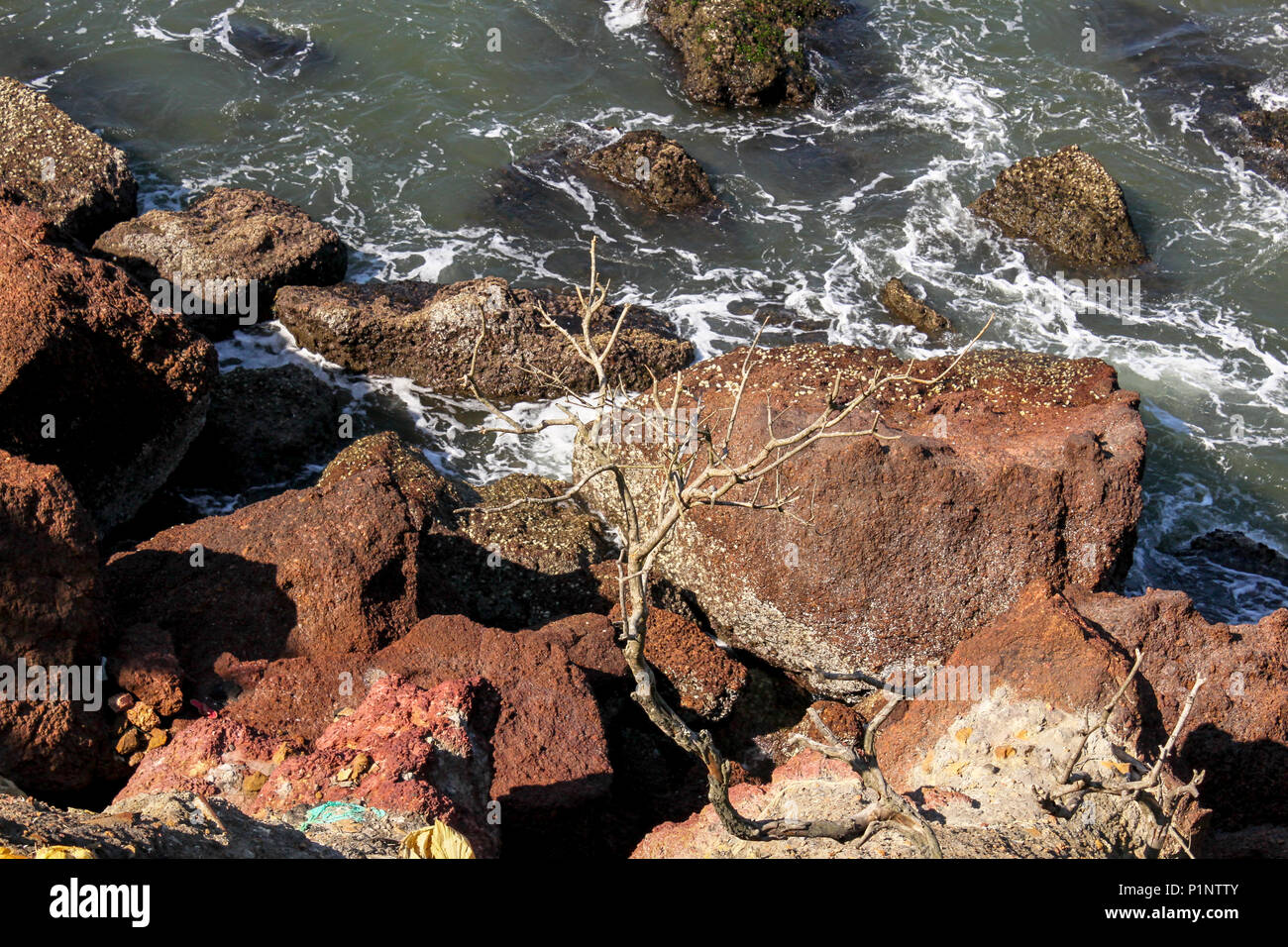 Laterite rocks cliff, sea Stock Photo