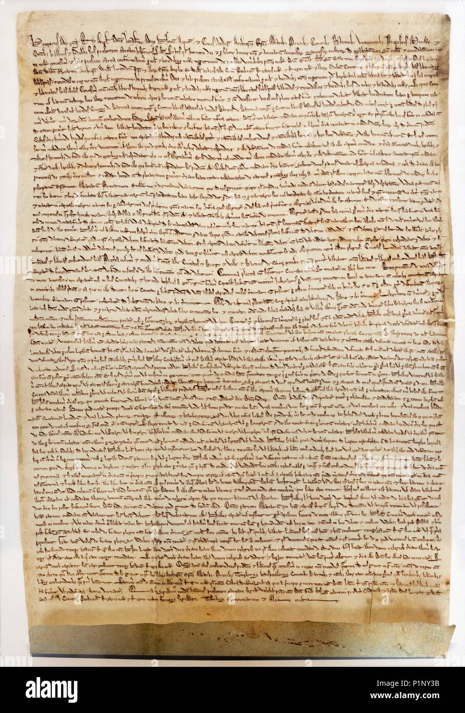 A facsimile copy of the 1217 exemplification of the Magna Carta in Hereford  Cathedral, England, UK Stock Photo - Alamy