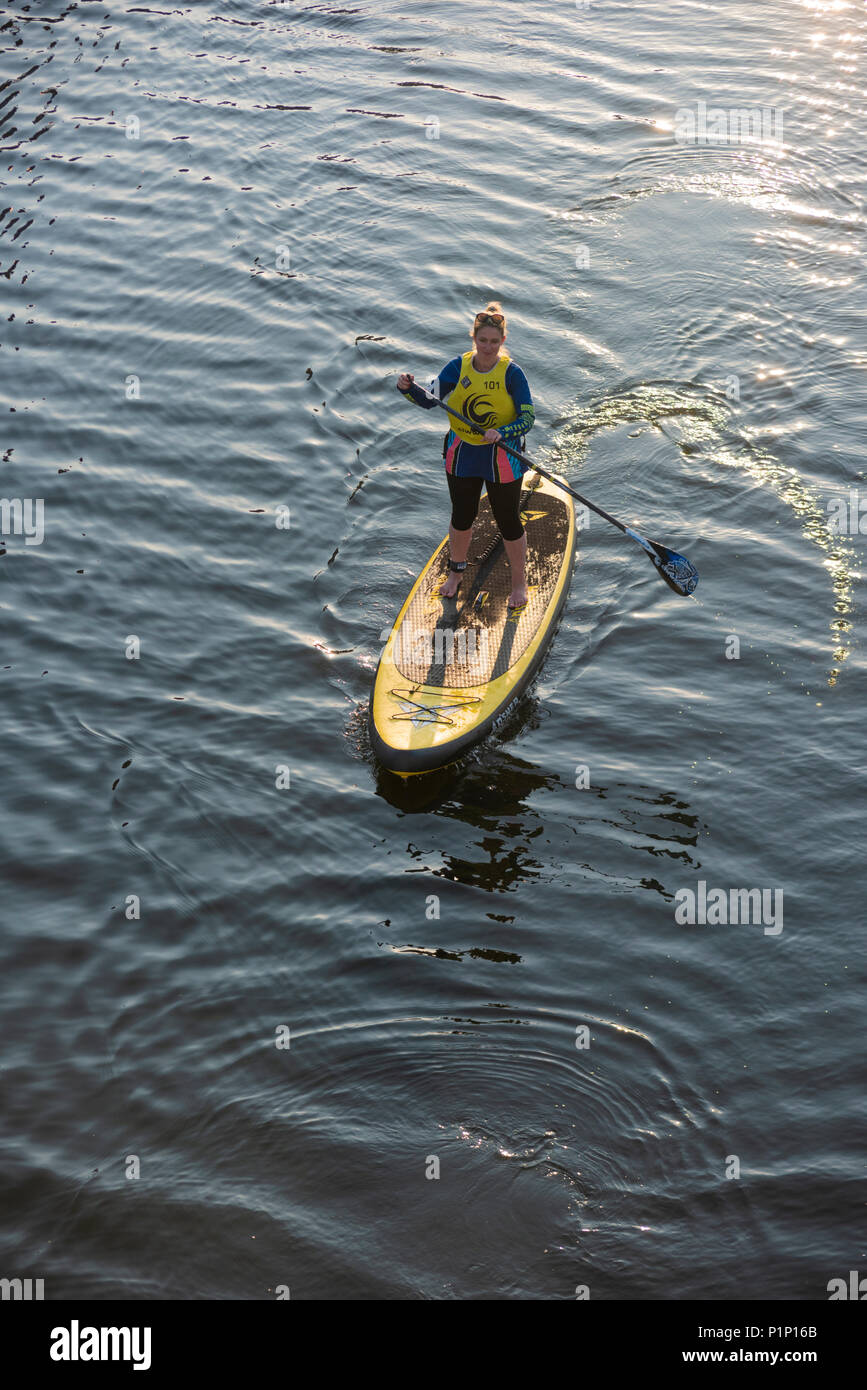 Stand up paddle boarding in Cardiff Marina PHILLIP ROBERTS Stock Photo